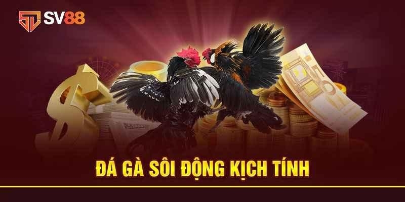 Nhà Cái Uy Tín_Nhà Cái Đá Gà Uy Tín Được Cập Nhật Mới Nhất